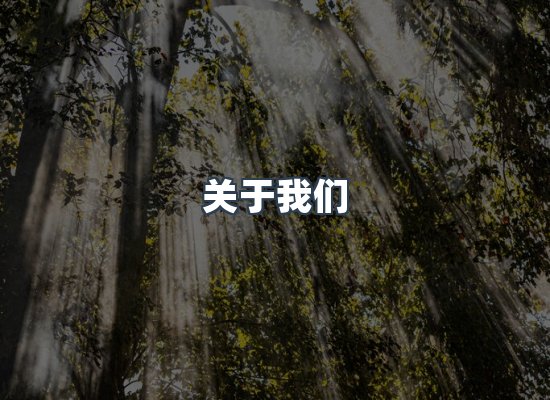关于我们